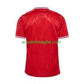 Divisa di Calcio Danimarca Prima Euro 2024